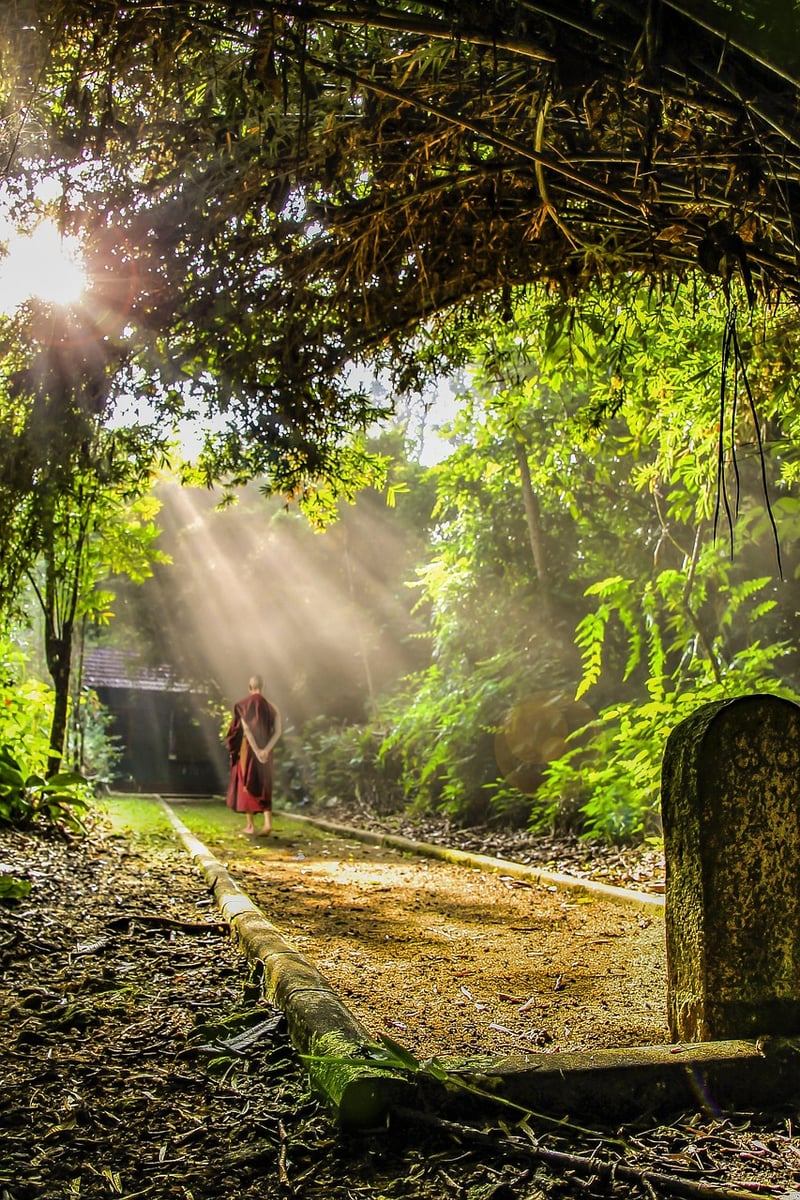 Meditative Walks