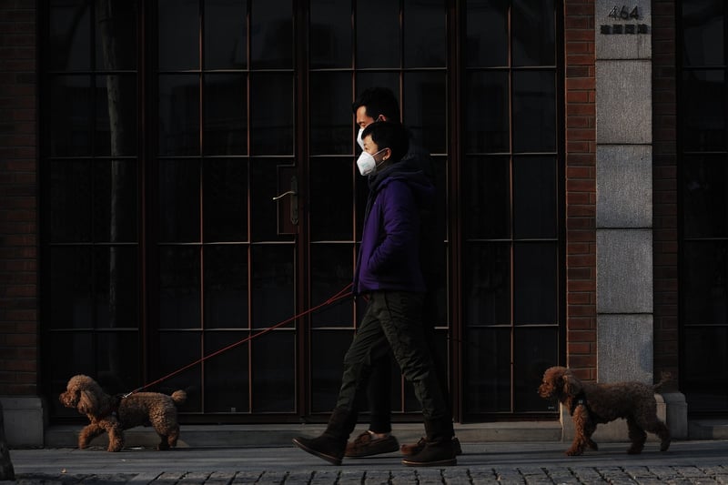 Urban Stroll